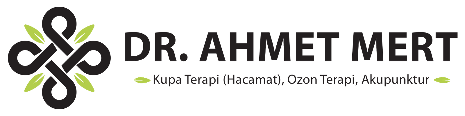 Dr. Ahmet Mert